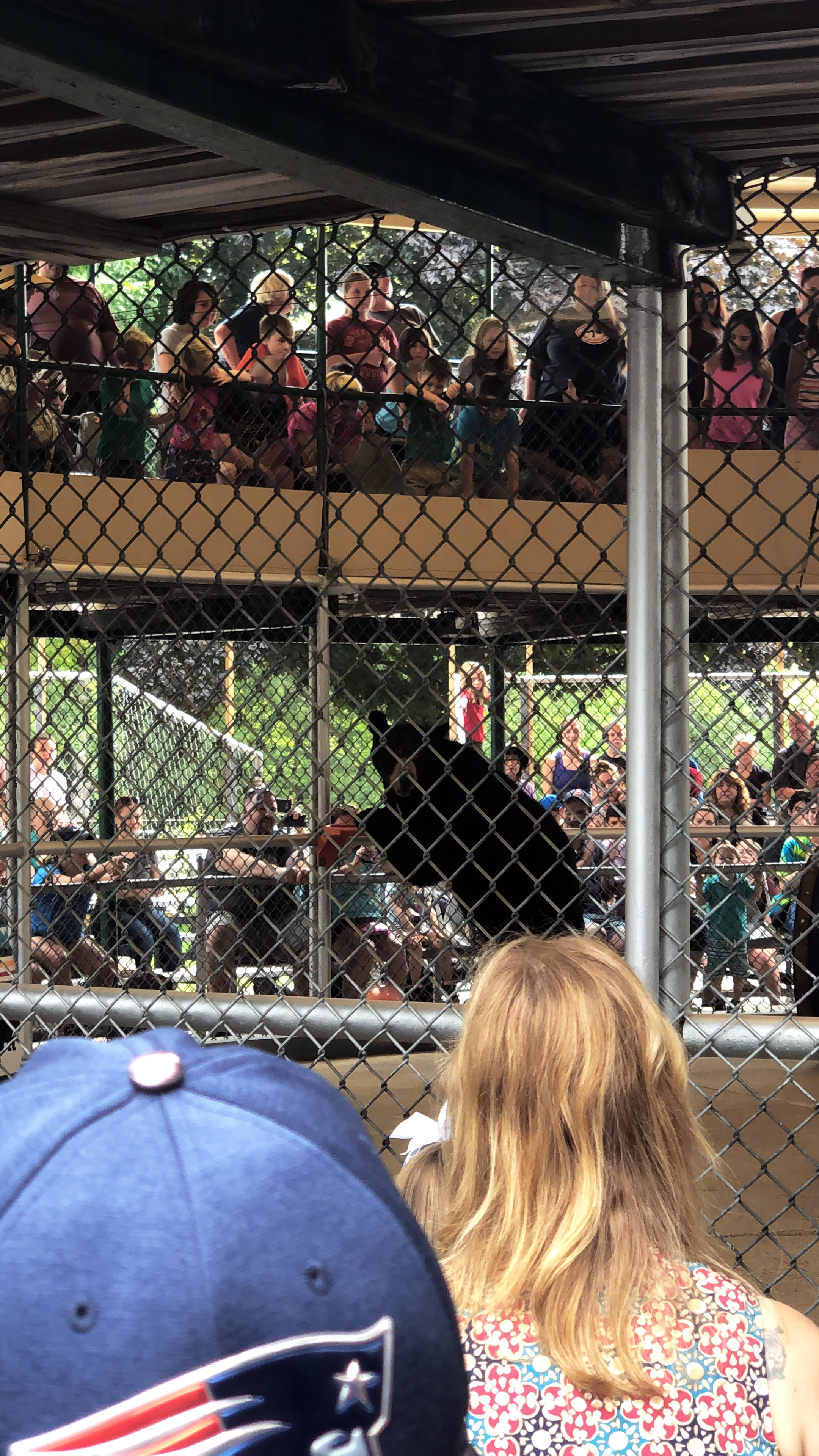 White Mountain Weekend Trip - Clark's Trading Post